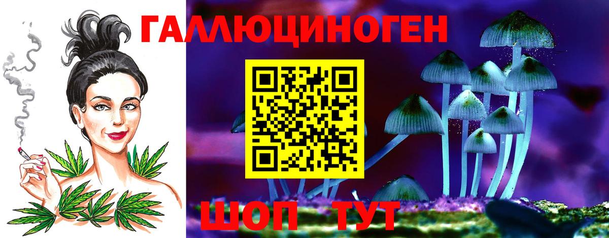 Галлюциногенные грибы Psilocybe  Вход с VPN  Аксай 