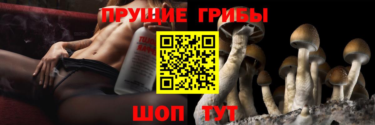 Галлюциногенные грибы мухоморы Аксай